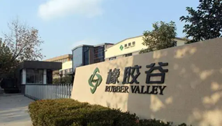 橡胶谷集团